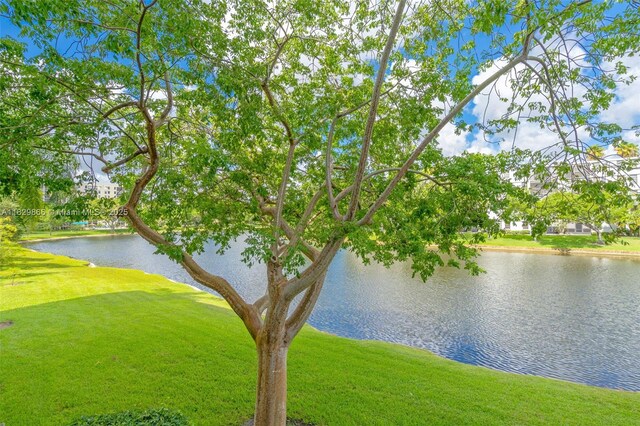 2106 S Cypress Bend Dr Unit 203, Pompano Beach, FL 33069 - water view