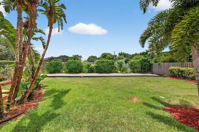 6201 SW 3rd St, Plantation, FL 33317 - view of yard