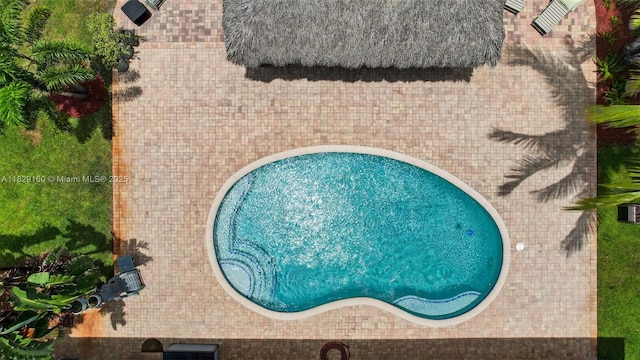 6201 SW 3rd St, Plantation, FL 33317 - view of swimming pool