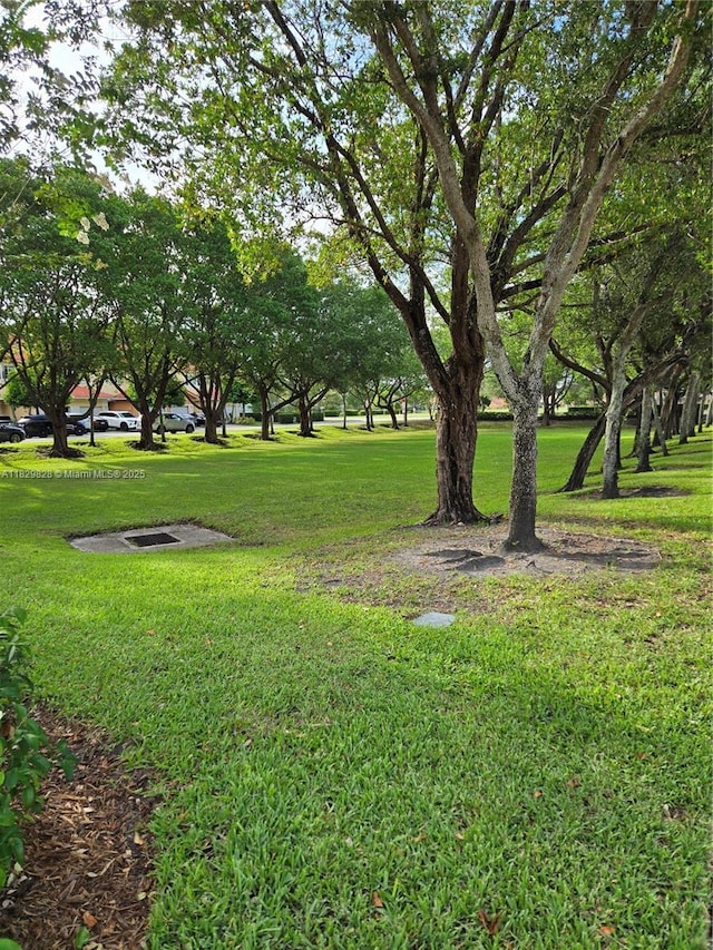 8216 W Santa Monica Ave, Tamarac, FL 33321 - photo 58