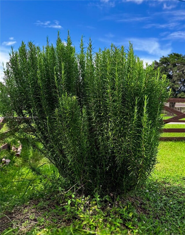 17500 SW 54th St, Southwest Ranches, FL 33331 - photo 39