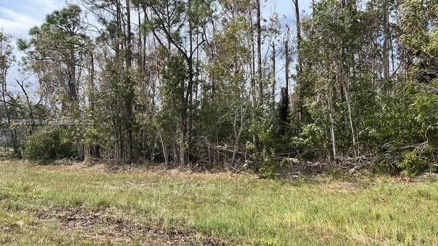 4732 NW 39th Pl, Cape Coral, FL 33993