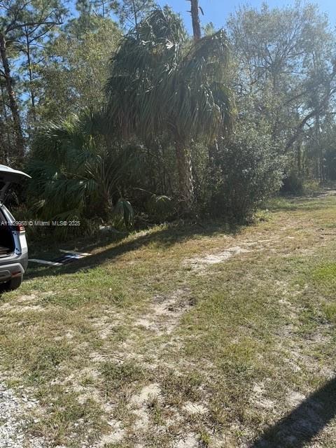 4204 E 10th St, Lehigh Acres, FL 33972
