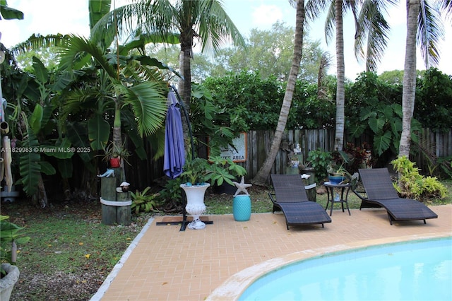8200 SW 164th St, Palmetto Bay, FL 33157 - view of swimming pool with a patio area