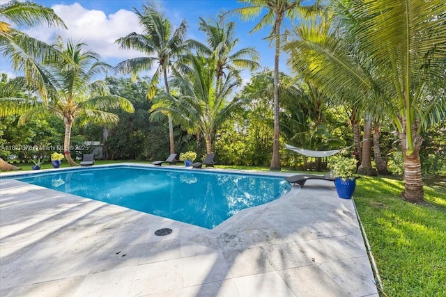 18301 SW 86th Ave, Palmetto Bay, FL 33157 - outdoor pool with a patio