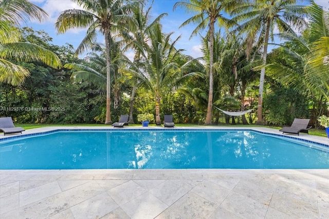 18301 SW 86th Ave, Palmetto Bay, FL 33157 - view of swimming pool