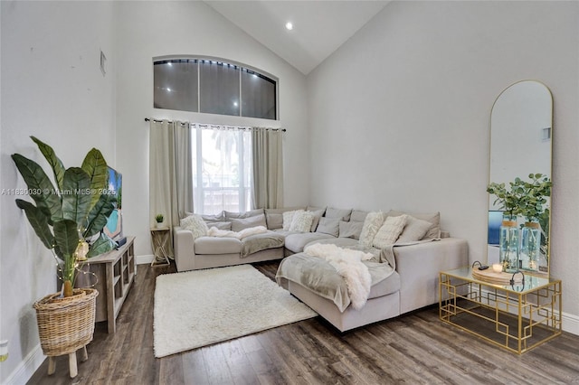 5347 SW 32nd Ter, Hollywood, FL 33312 - living room with wood finished floors, high vaulted ceiling, and recessed lighting
