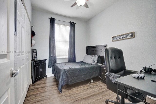 5347 SW 32nd Ter, Hollywood, FL 33312 - bedroom featuring wood finished floors and ceiling fan