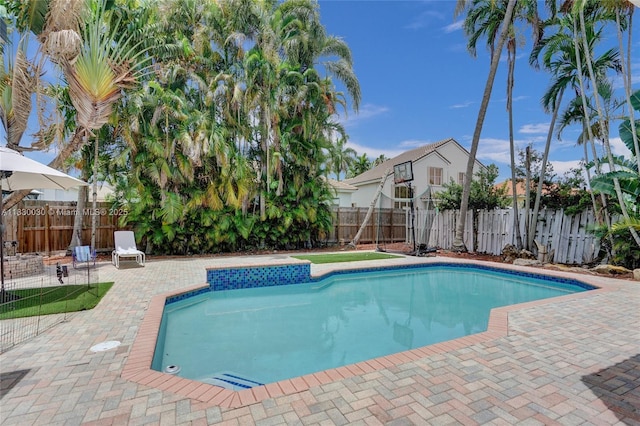 5347 SW 32nd Ter, Hollywood, FL 33312 - view of swimming pool featuring a patio and a fenced backyard