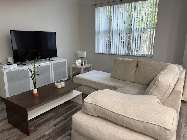 4506 SW 160th Ave Unit 1118, Miramar, FL 33027 - living room featuring wood finished floors and ornamental molding