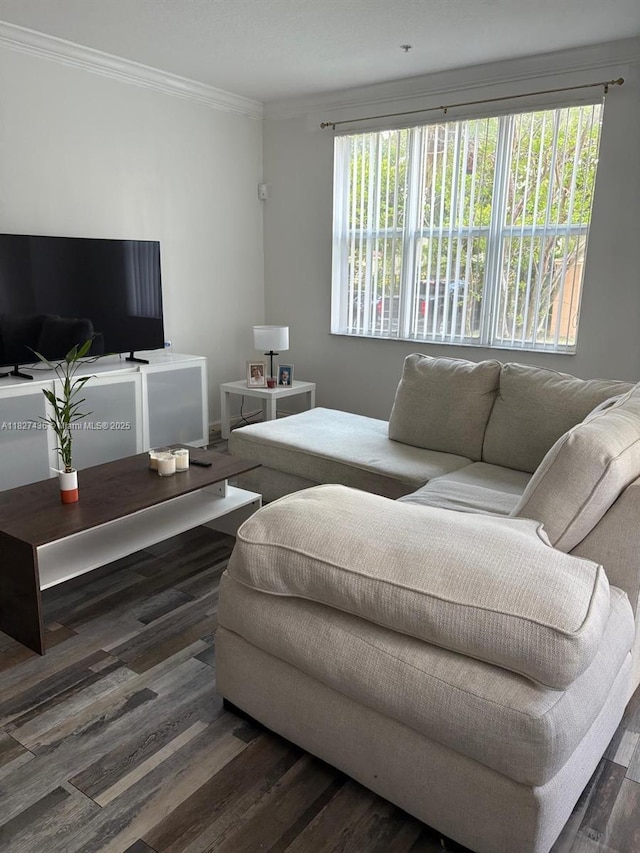4506 SW 160th Ave Unit 1118, Miramar, FL 33027 - living room with crown molding and wood finished floors