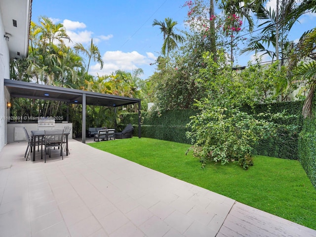 1117 Alberca St, Coral Gables, FL 33134 - view of patio with outdoor dining area, area for grilling, and an outdoor living space
