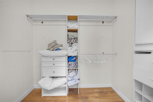 6201 Floridian Cir, Lake Worth, FL 33463 - walk in closet featuring light wood-type flooring