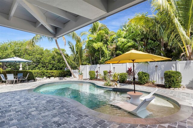 835 70th St, Gulf, Marathon, FL 33050 - view of pool with a patio and a fenced backyard