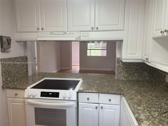 251 Galen Dr Unit 112E, Key Biscayne, FL 33149 - kitchen with white appliances, under cabinet range hood, white cabinets, dark stone countertops, and tasteful backsplash
