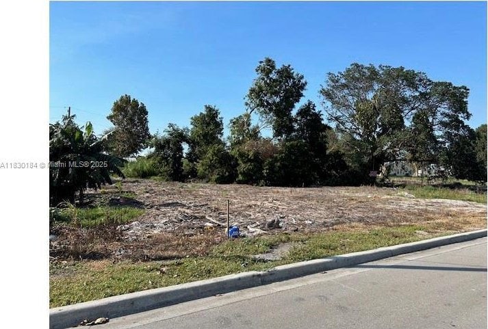 875 Joe Louis Ave, Pahokee, FL 33476 - photo 1