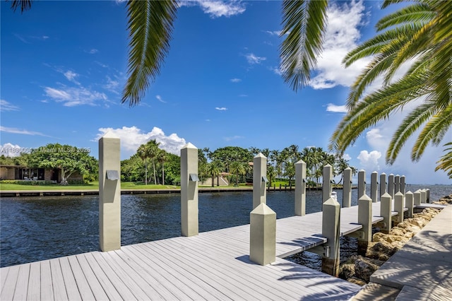 41 Arvida Pkwy, Coral Gables, FL 33156 - photo 67