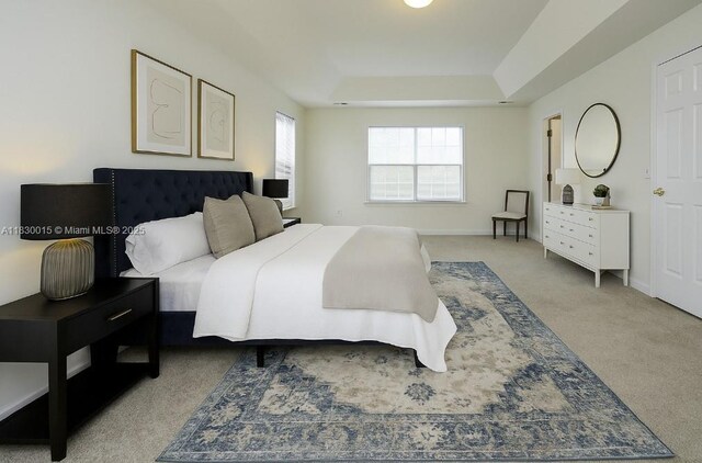 4407 Karlbrook Ln, ,, NC 27616 - bedroom with light colored carpet and a tray ceiling