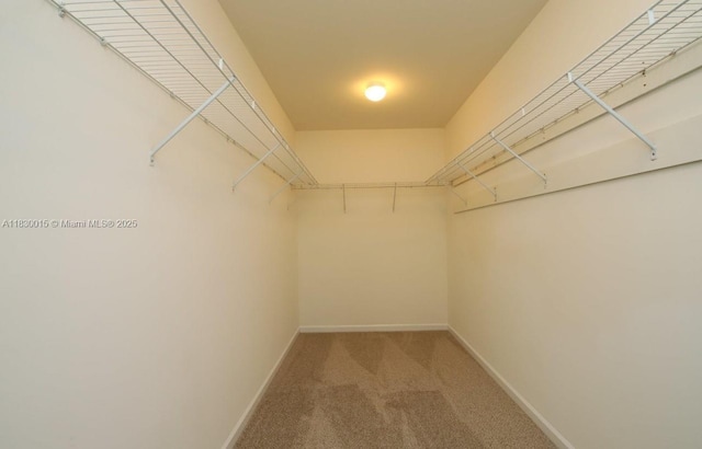 4407 Karlbrook Ln, ,, NC 27616 - walk in closet with carpet