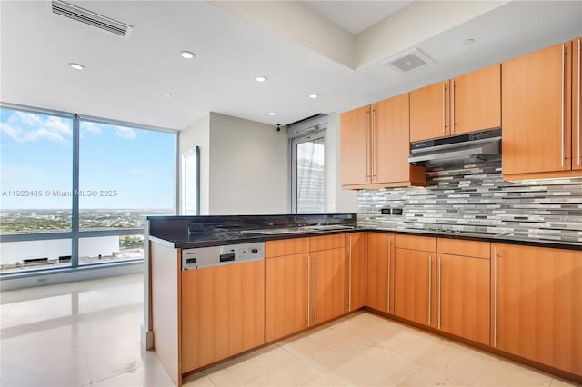 1425 Brickell Ave Unit 44A-B, Miami, FL 33131 - kitchen with dishwashing machine, under cabinet range hood, healthy amount of natural light, backsplash, and recessed lighting