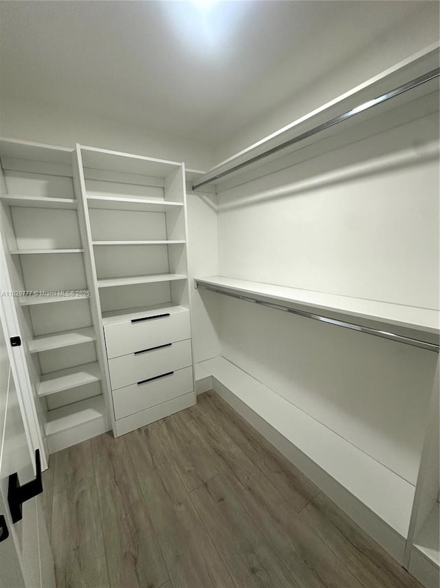 17902 SW 87th Pl, Palmetto Bay, FL 33157 - walk in closet featuring dark wood-type flooring