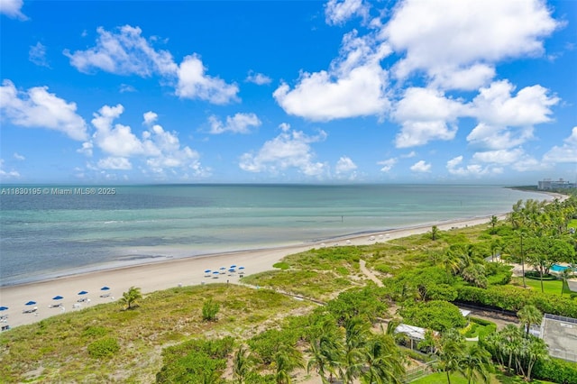 177 Ocean Lane Dr Unit 1203, Key Biscayne, FL 33149 - water view with local beach