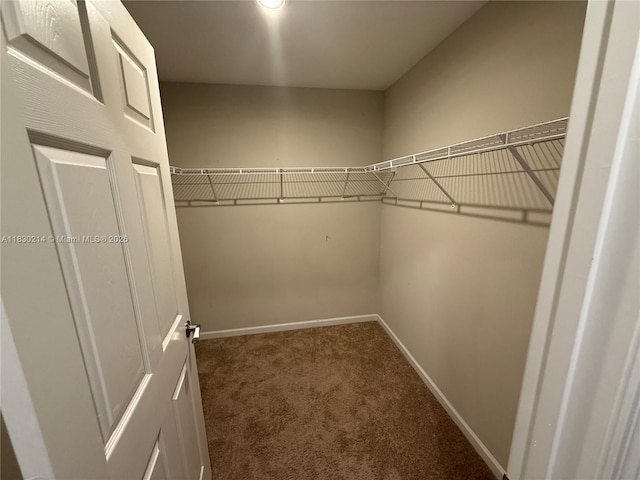 3574 SW Masilunas St, Port St Lucie, FL 34953 - walk in closet featuring carpet