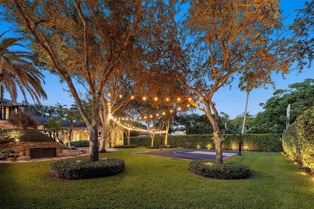 10101 SW 60th Ct, Pinecrest, FL 33156 - view of green lawn