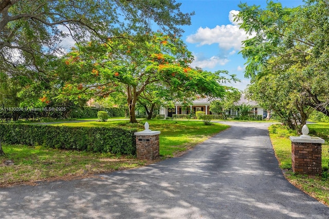 6420 SW 114th St, Pinecrest, FL 33156 - photo 2