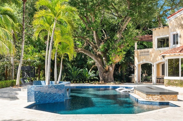 11401 SW 69th Ave, Pinecrest, FL 33156 - swimming pool with a hot tub and a patio