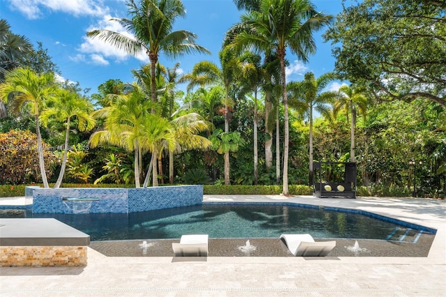 11401 SW 69th Ave, Pinecrest, FL 33156 - view of swimming pool