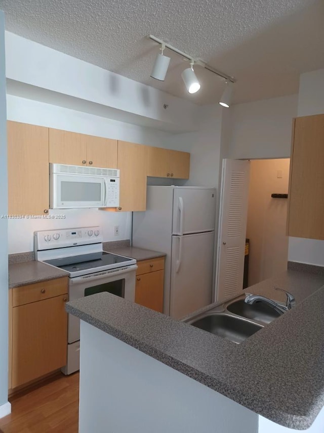 1919 Van Buren St Unit 810A, Hollywood, FL 33020 - photo 22