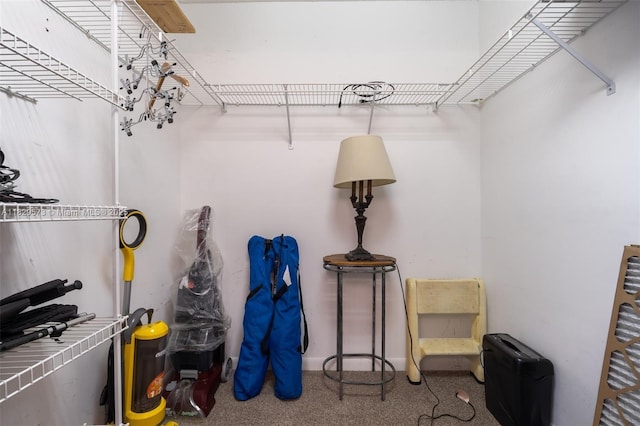 701 SW 141st Ave Unit 406R, Pembroke Pines, FL 33027 - spacious closet with carpet floors