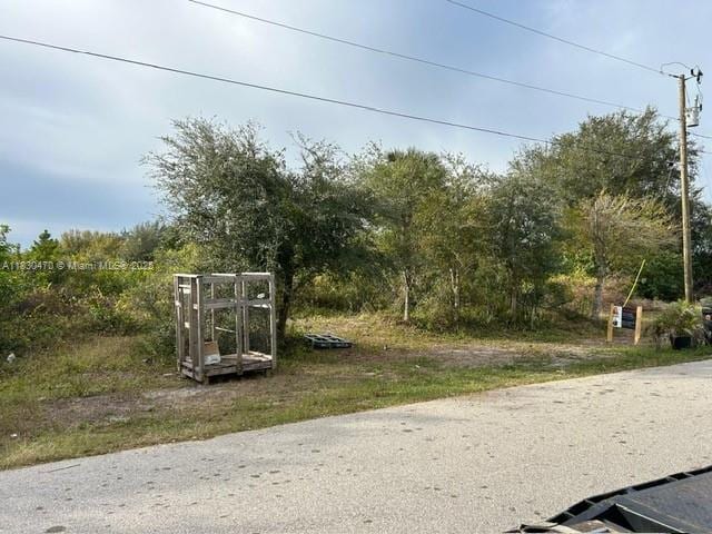 808 Frederick Reid St E, Lehigh Acres, FL 33974 - photo 3
