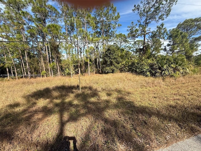 511 Addison St E, Lehigh Acres, FL 33974