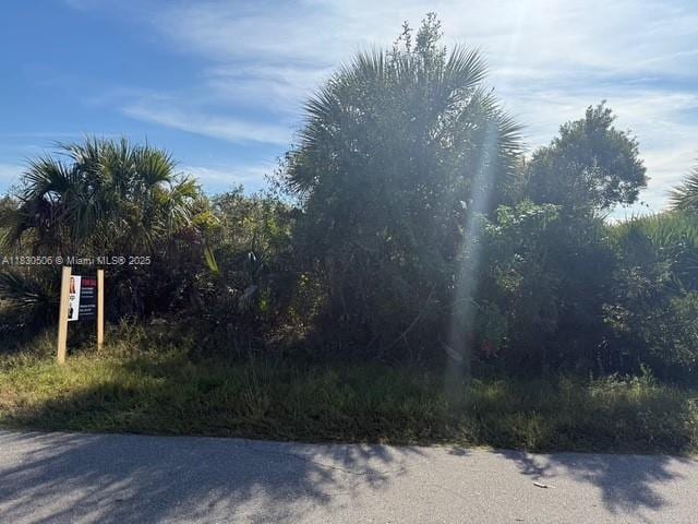 3207 53rd St W, Lehigh Acres, FL 33971 - photo 4