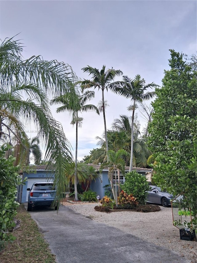2519 Washington St, Hollywood, FL 33020 - view of property hidden behind natural elements featuring driveway and a garage