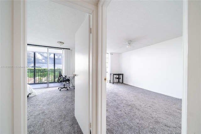 2500 NE 135th St Unit C610, North Miami, FL 33181 - photo 16