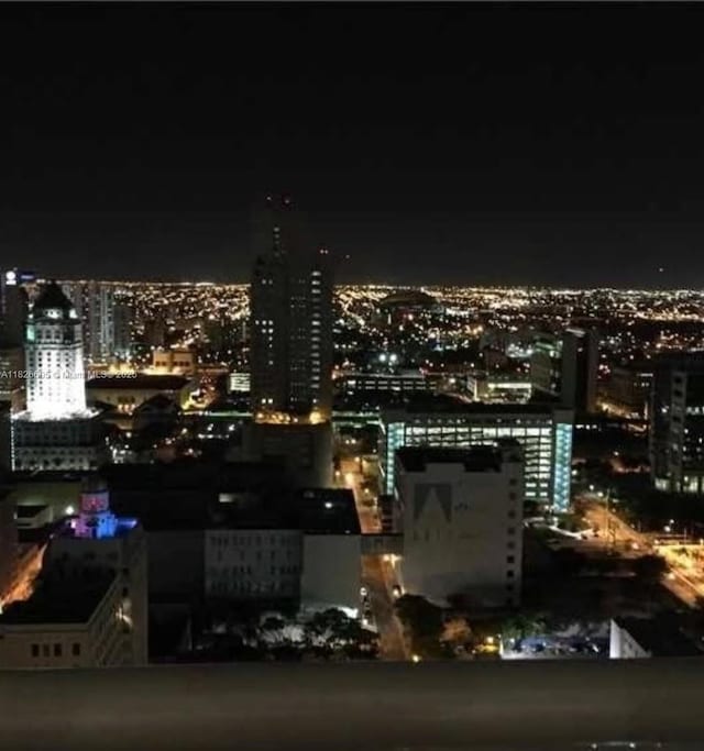 133 NE 2nd Ave Unit 2515, Miami, FL 33132 - photo 19
