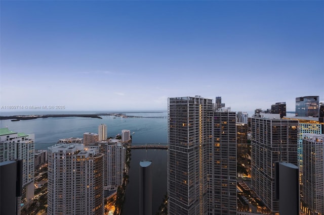 300 Biscayne Blvd Way Unit 5205W, Miami, FL 33131 - photo 32