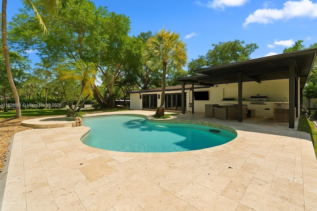 15202 SW 80th Ave, Palmetto Bay, FL 33157 - outdoor pool with a patio, area for grilling, and an in-ground hot tub