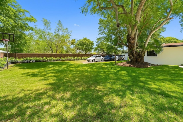 15202 SW 80th Ave, Palmetto Bay, FL 33157 - view of green lawn