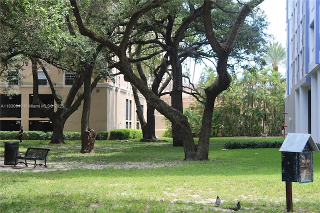 520 SE 5th Ave Unit 1707, Fort Lauderdale, FL 33301 - view of green lawn