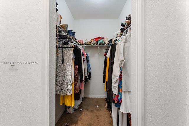 10821 SW 229th St, Miami, FL 33170 - photo 31
