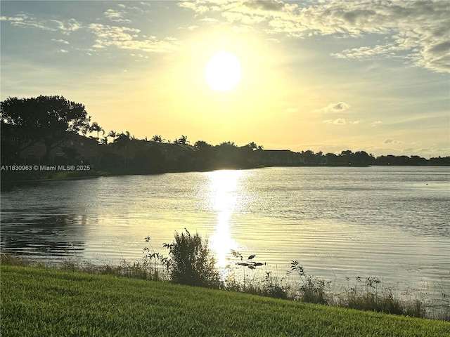 10607 SW 6th St Unit 1006, Pembroke Pines, FL 33025 - photo 40
