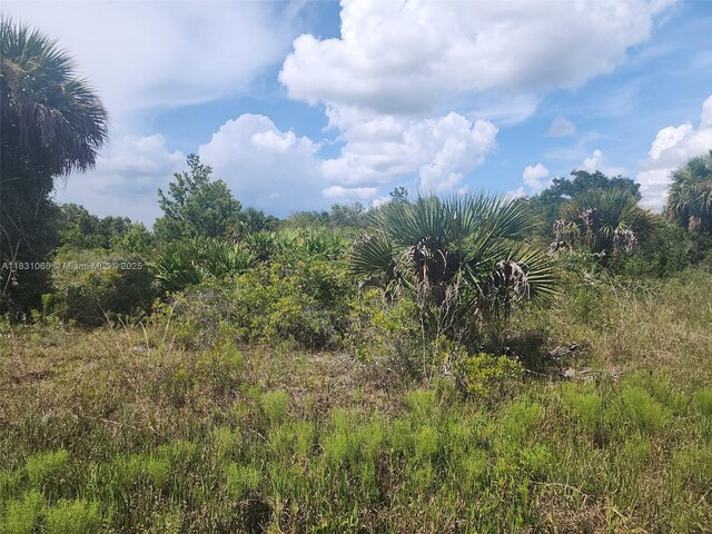 17823 NW 286, St, FL 34972