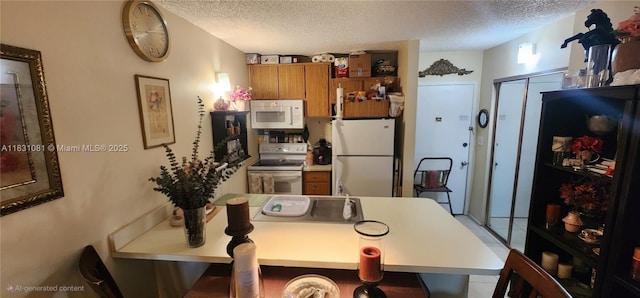 2501 Riverside Dr Fl 3Rd, Coral Springs, FL 33065 - photo 5