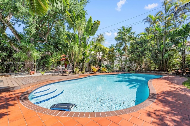 1320 Obispo Ave, Coral Gables, FL 33134 - swimming pool with a patio