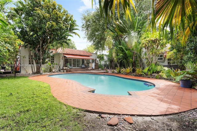 1320 Obispo Ave, Coral Gables, FL 33134 - view of pool featuring a patio and a yard