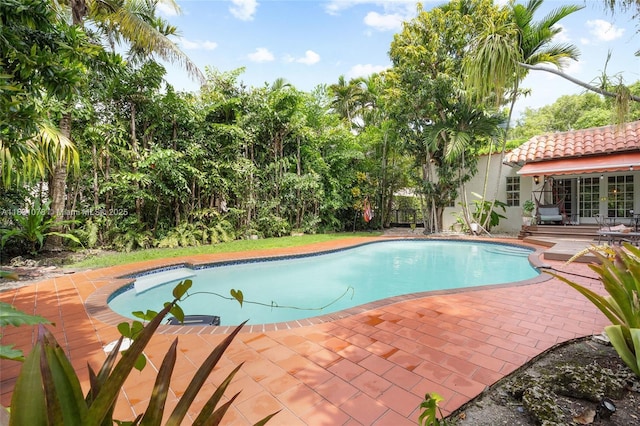 1320 Obispo Ave, Coral Gables, FL 33134 - swimming pool with a patio